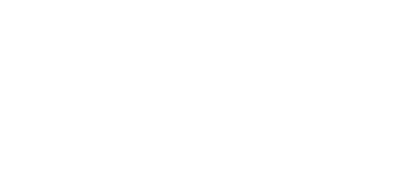 Team McGuire Real Estate